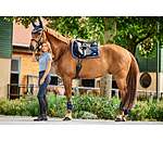 zadeldek Swiss Design