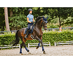 zadeldek Swiss Design