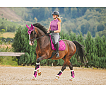 zadeldek Essential Standard