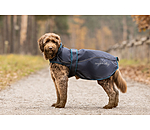 regenjas Ally 2 in 1