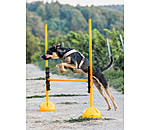 agility stangensteun