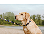 set:  lederen hondenhalsband en -lijn Polo Sports