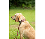 lederen halsband Livorno