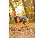 hondendeken Archie met teddyfleece voering, 160 g