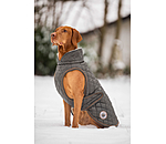 hondendeken Archie met teddyfleece voering, 160 g