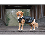 hondendeken Archie met teddyfleece voering, 160 g