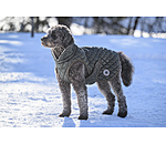 hondendeken Archie met teddyfleece voering, 160 g