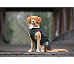 hondendeken Archie met teddyfleece voering, 160 g