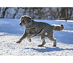 hondendeken Archie met teddyfleece voering, 160 g