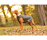hondendeken Archie met teddyfleece voering, 160 g