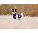 hondendeken Archie met teddyfleece voering, 160 g