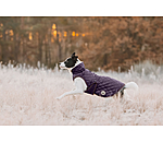 hondendeken Archie met teddyfleece voering, 160 g