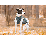 hondendeken Archie met teddyfleece voering, 160 g