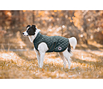 hondendeken Archie met teddyfleece voering, 160 g