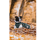 hondendeken Archie met teddyfleece voering, 160 g