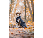hondendeken Archie met teddyfleece voering, 160 g