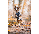 hondendeken Archie met teddyfleece voering, 160 g