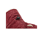 hondendeken Archie met teddyfleece voering, 160 g