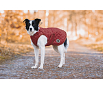 hondendeken Archie met teddyfleece voering, 160 g