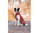 hondendeken Archie met teddyfleece voering, 160 g