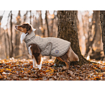 hondendeken Archie met teddyfleece voering, 160 g