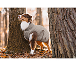 hondendeken Archie met teddyfleece voering, 160 g