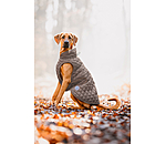 hondendeken Archie met teddyfleece voering, 160 g