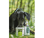 gewrichtspoeder Vitality voor honden