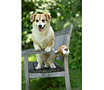 hondenspeelgoed knuffelleeuw Lio