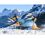honden winterjas Glacier Bay met teddyfleece-binnenvoering, 100 g