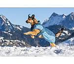 honden winterjas Glacier Bay met teddyfleece-binnenvoering, 100 g