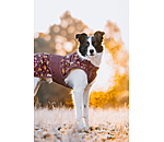 honden regenjas Pumpkin Spice, 0 g