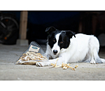 lamskophuid hondensnack