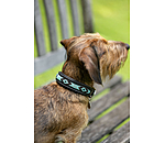 lederen honden halsband Nashville