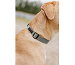 honden halsband Champ