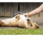 handschoen-kam Cosma voor honden