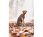 honden pullover Maisie