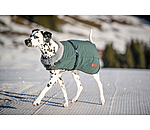 Winter-hondenmantel Gizmo met teddy binnenvoering, 200 g