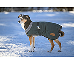 Winter-hondenmantel Gizmo met teddy binnenvoering, 200 g