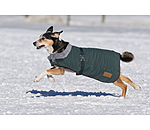 Winter-hondenmantel Gizmo met teddy binnenvoering, 200 g