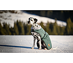 Winter-hondenmantel Gizmo met teddy binnenvoering, 200 g