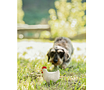 piepspeeltje Chicken voor honden