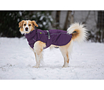 Winter-hondenmantel Marlon, 200-300 g