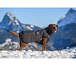 Winter-hondenmantel Marlon, 200-300 g