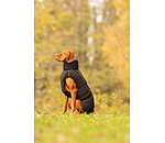 Winter-hondenmantel Marlon, 200-300 g