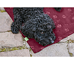 fleece overgooi- en ligdeken Charly
