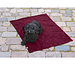 fleece overgooi- en ligdeken Charly