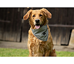 reflecterende halsdoek voor honden