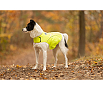 reflecterend veiligheidsvest voor honden