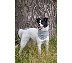 verkoelende halsdoek Frostie